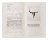 The School of Life: The Meaning of Life