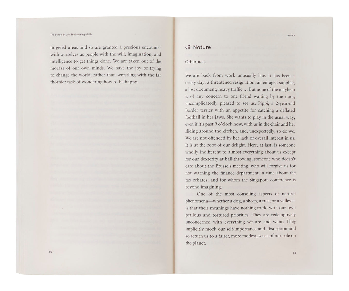 The School of Life: The Meaning of Life