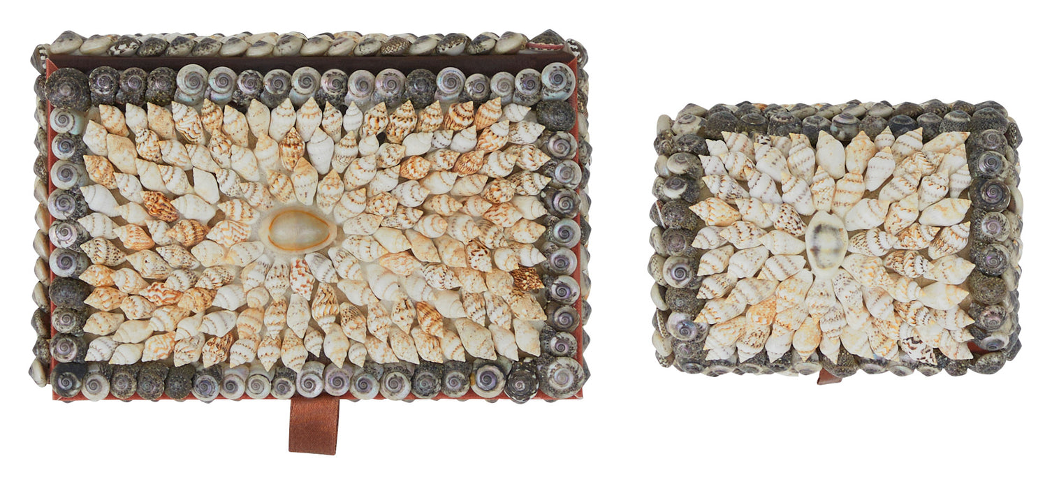 Shell Boxes & Jayson Home