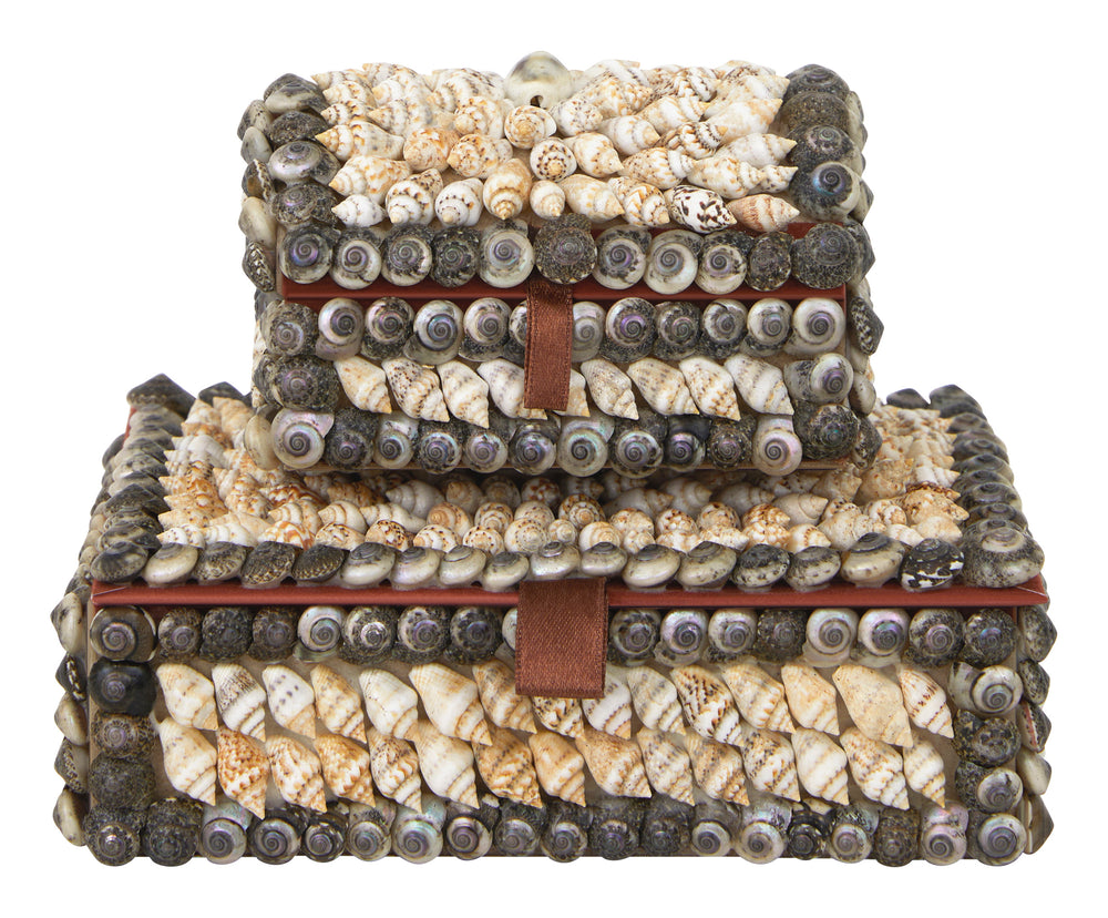 Shell Boxes & Jayson Home