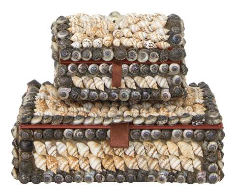 Shell Boxes & Jayson Home