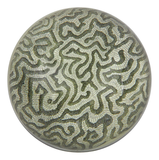 Coral 1792 Paperweight
