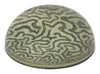 Coral 1792 Paperweight