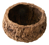 Mayan Coconut Bowl