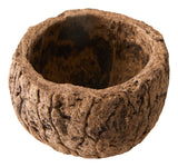 Mayan Coconut Bowl