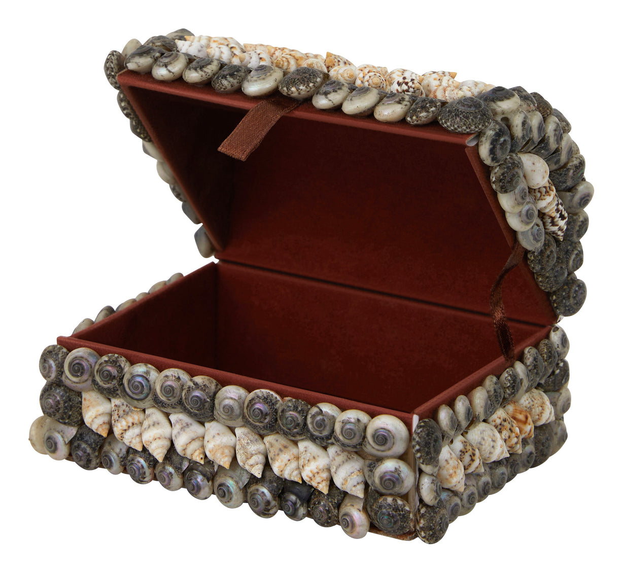 Shell Boxes & Jayson Home