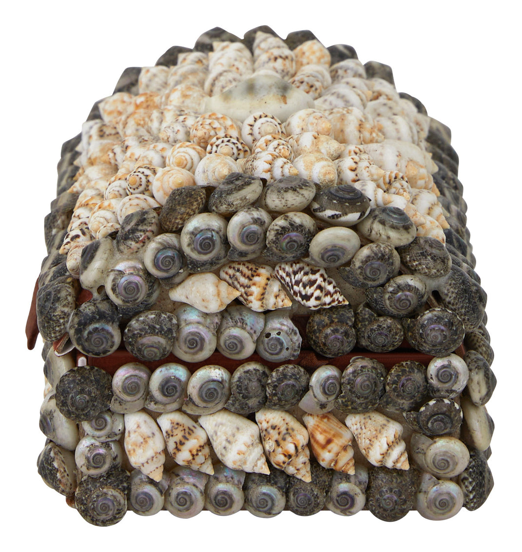 Shell Boxes & Jayson Home