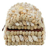 Shell Boxes