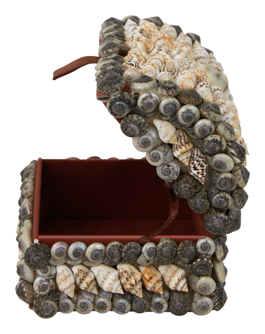 Shell Boxes & Jayson Home