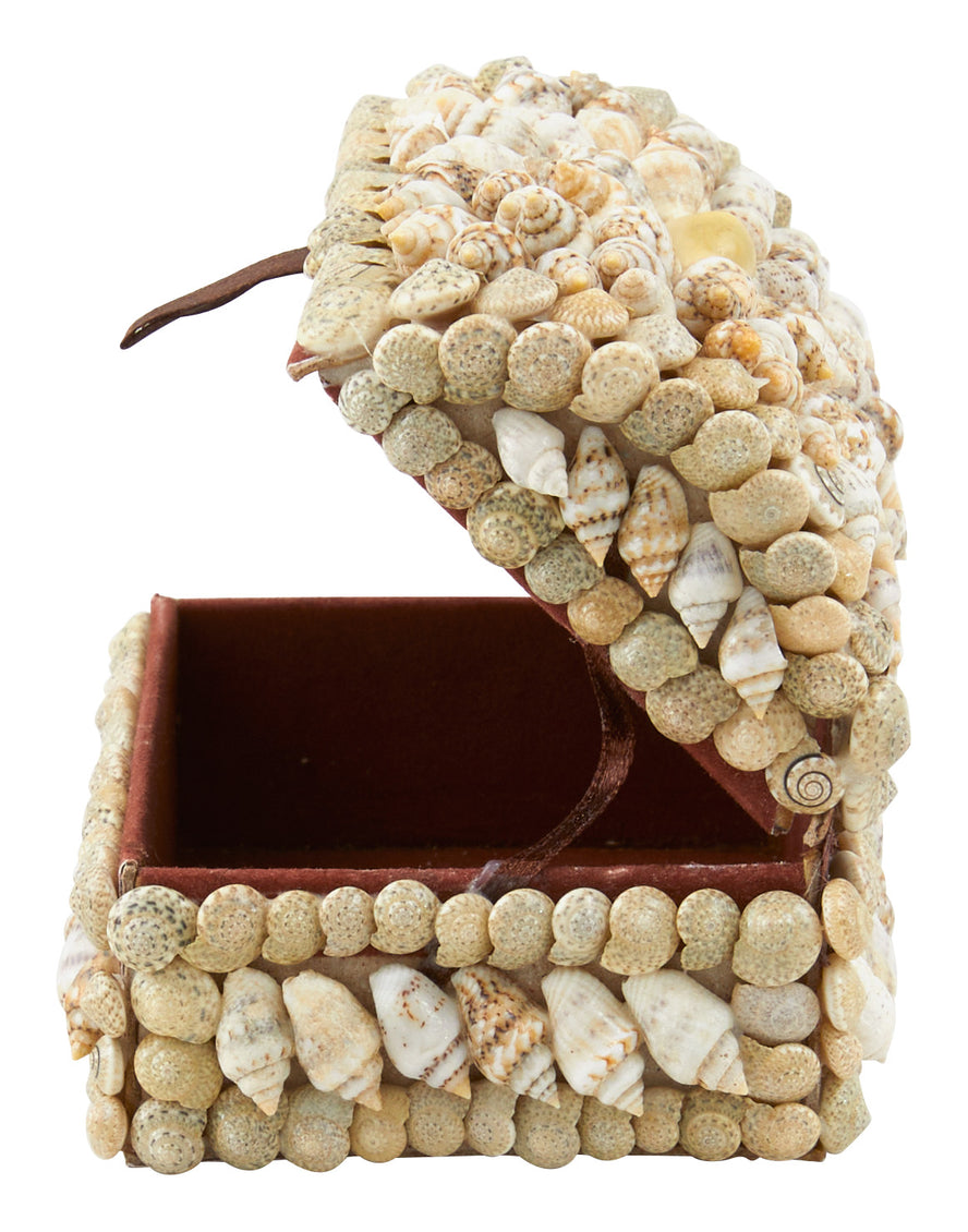 Shell Boxes