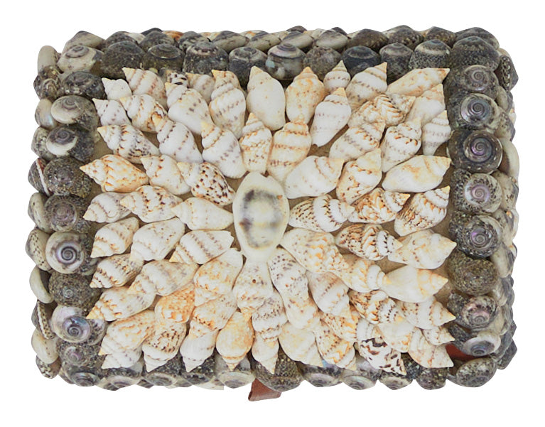 Shell Boxes & Jayson Home