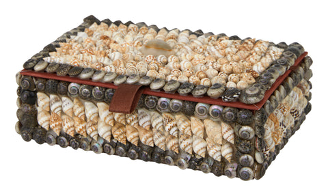 Shell Boxes & Jayson Home
