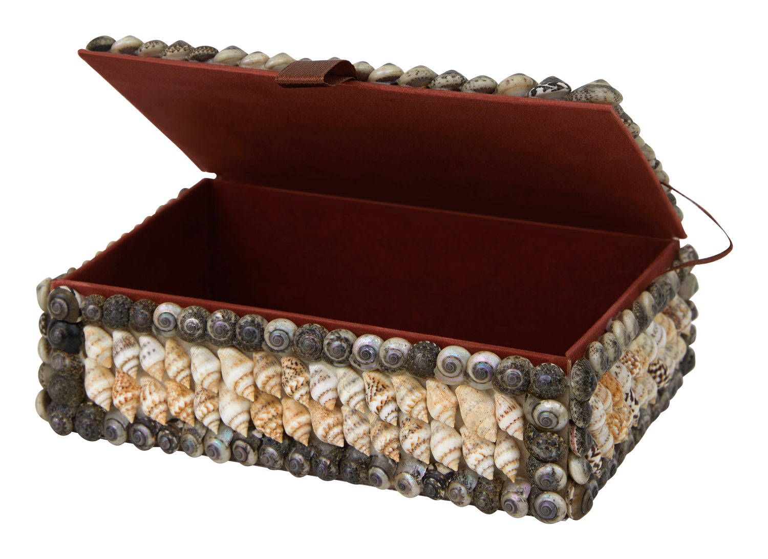 Shell Boxes & Jayson Home