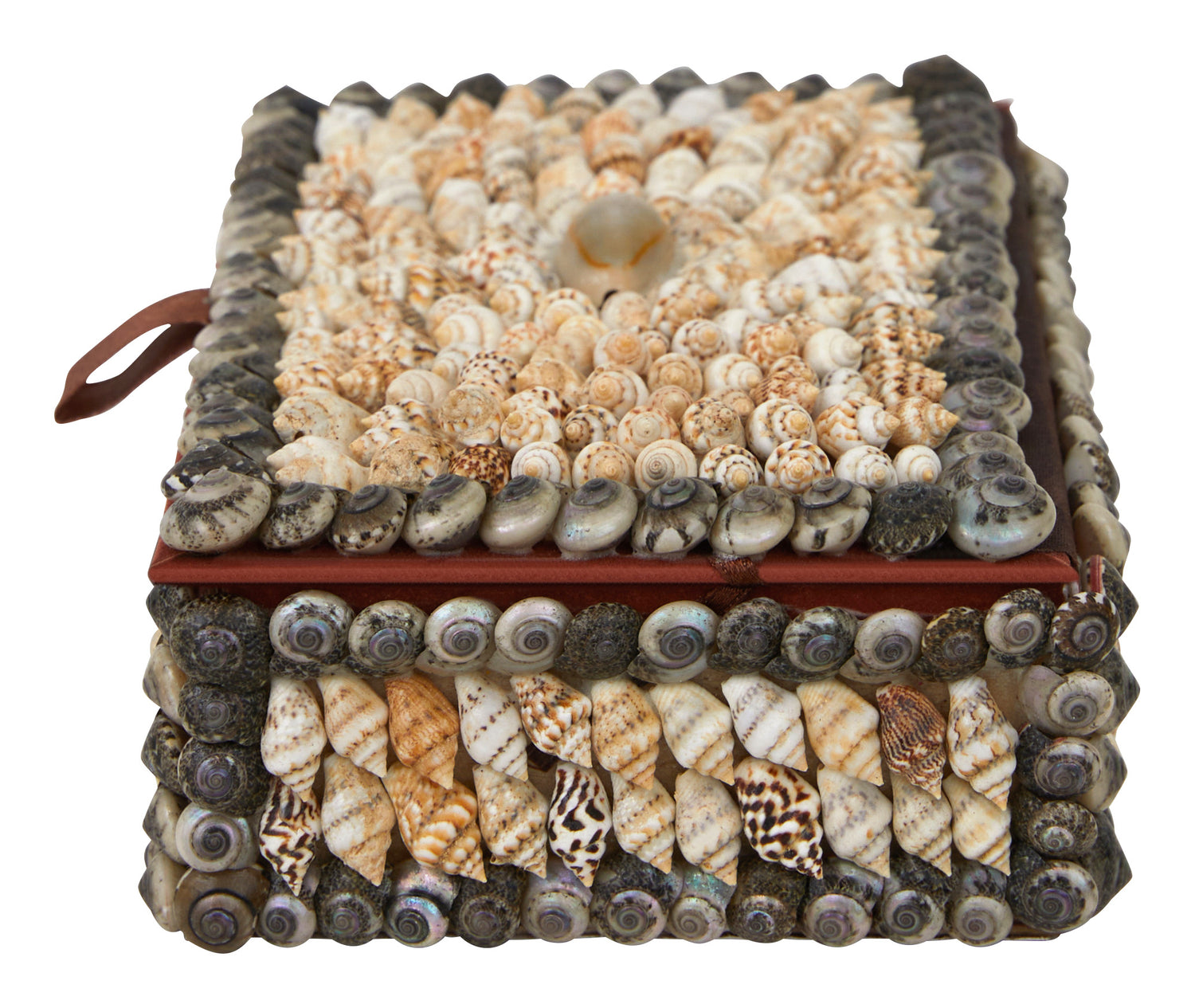 Shell Boxes & Jayson Home