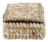 Shell Boxes