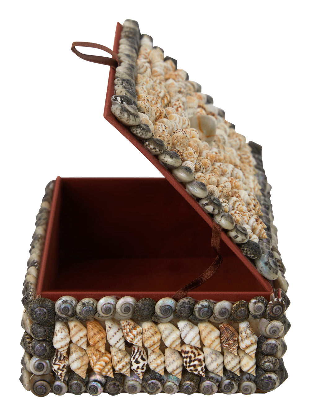 Shell Boxes & Jayson Home