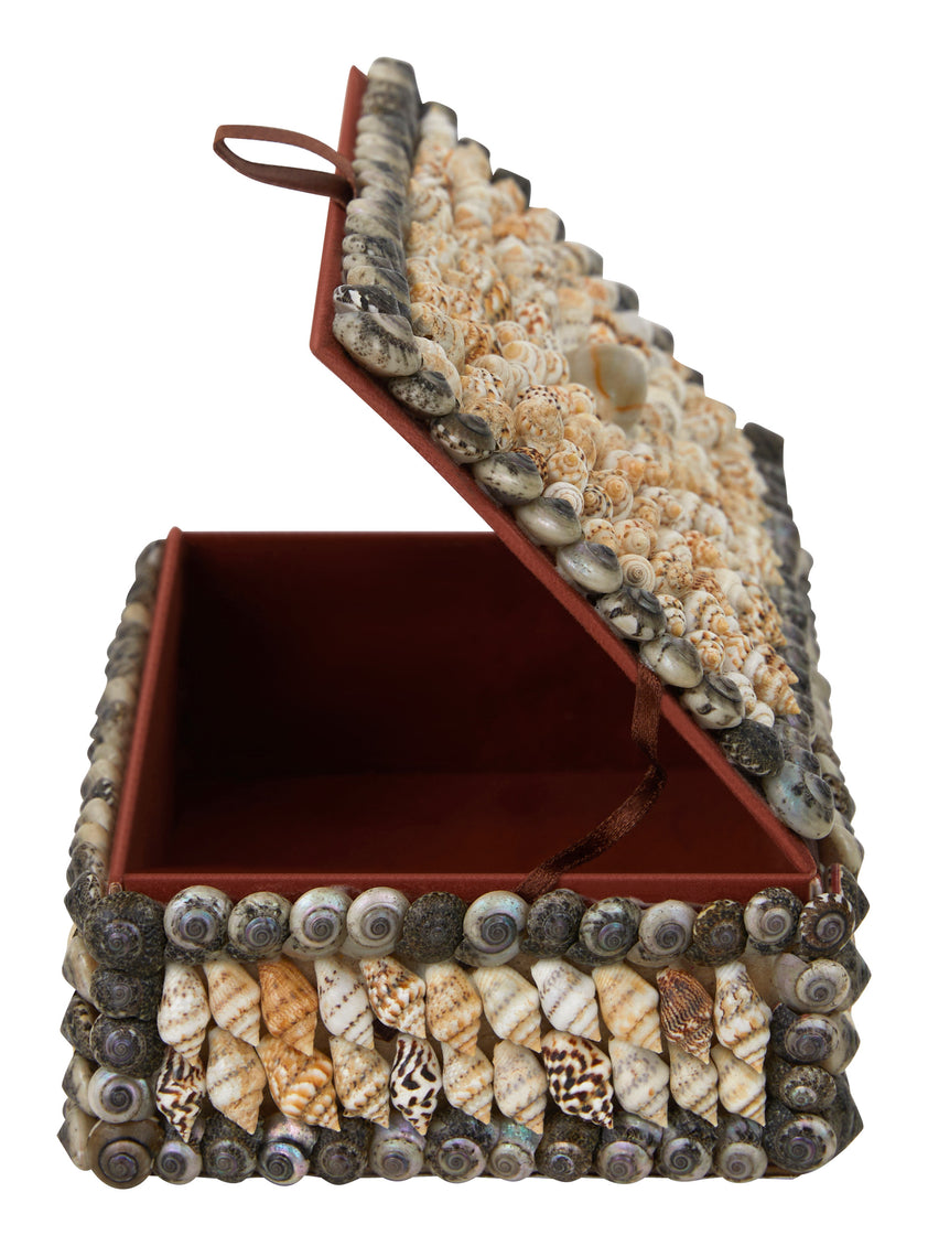 Shell Boxes & Jayson Home