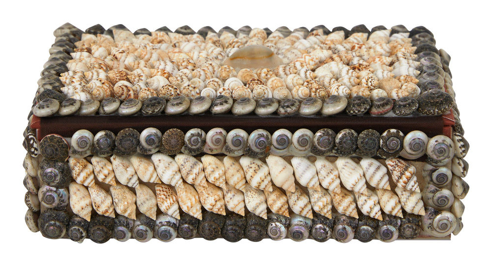 Shell Boxes & Jayson Home