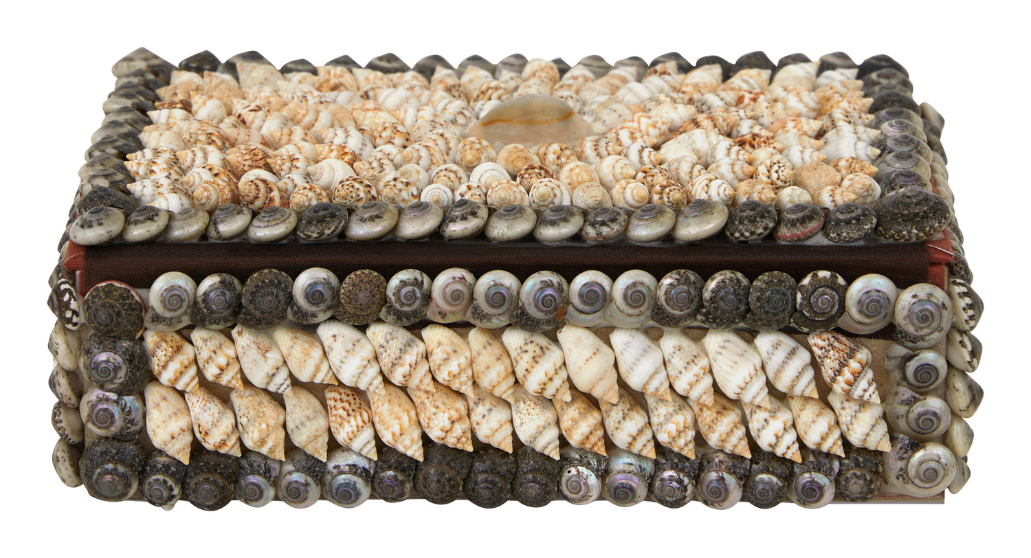 Shell Boxes & Jayson Home