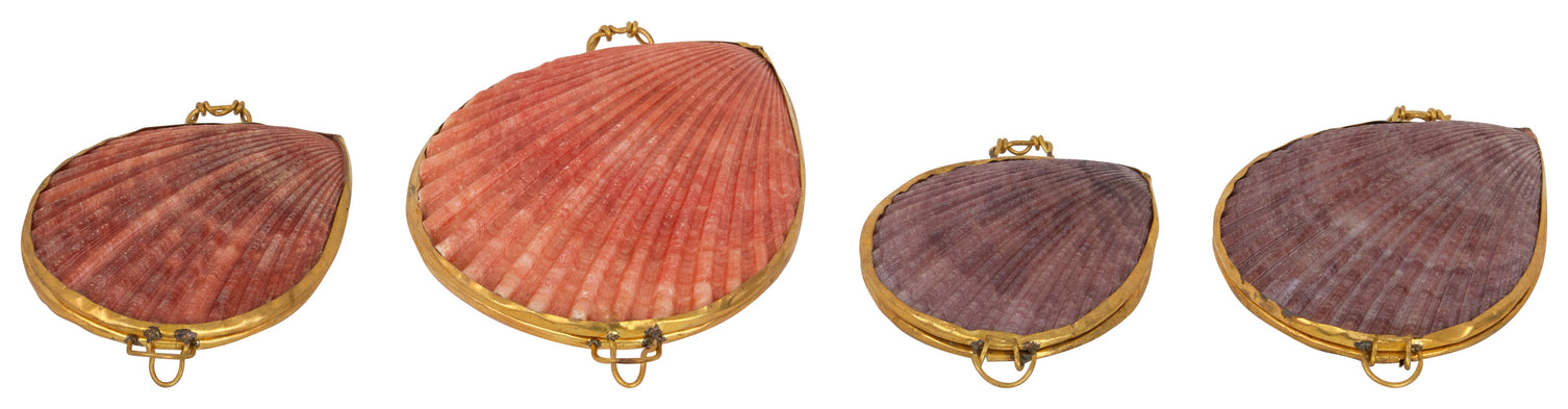 Pecten Shell Stash Box