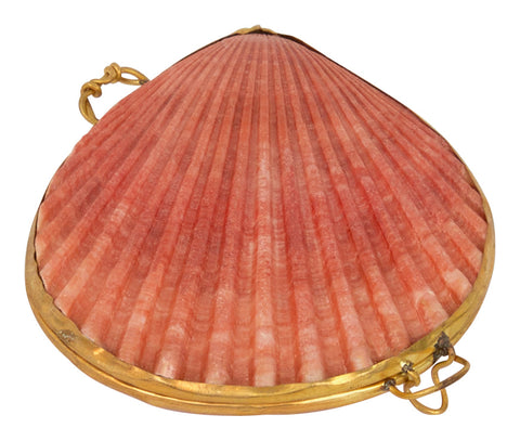 Pecten Shell Stash Box & Jayson Home