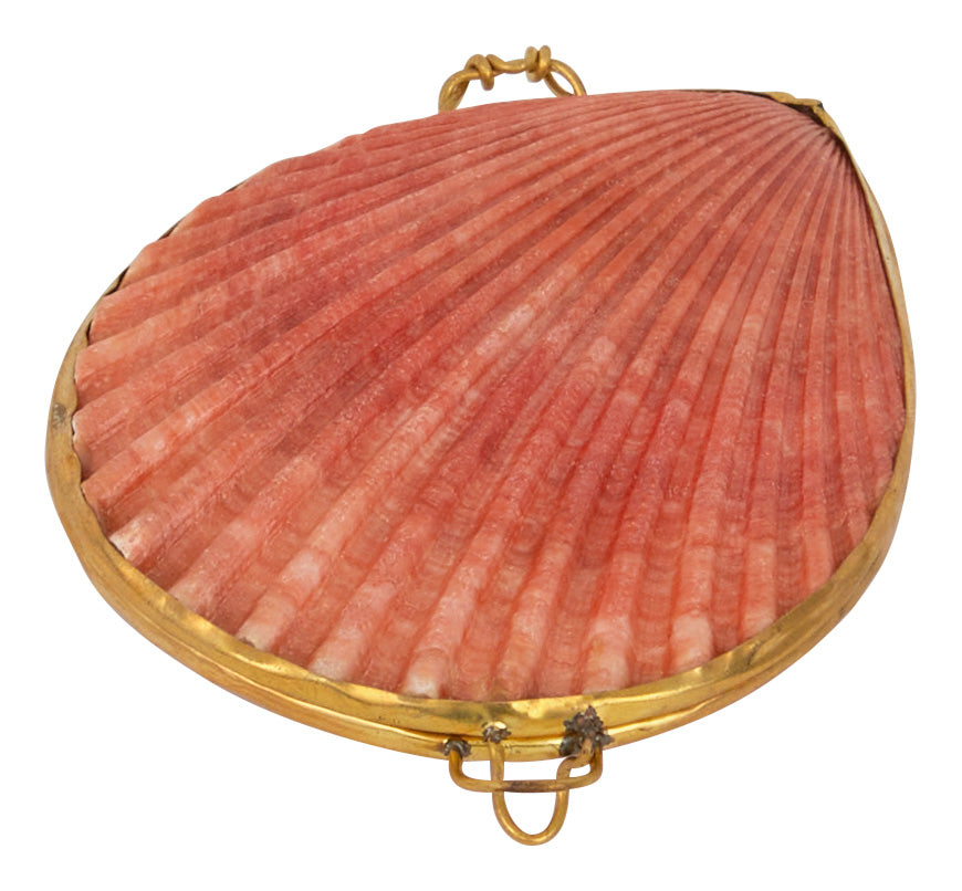 Pecten Shell Stash Box