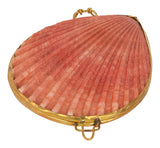 Pecten Shell Stash Box