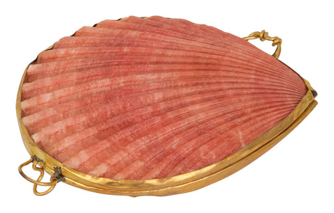 Pecten Shell Stash Box & Jayson Home