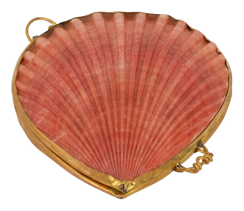 Pecten Shell Stash Box
