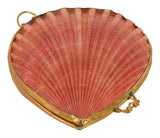 Pecten Shell Stash Box