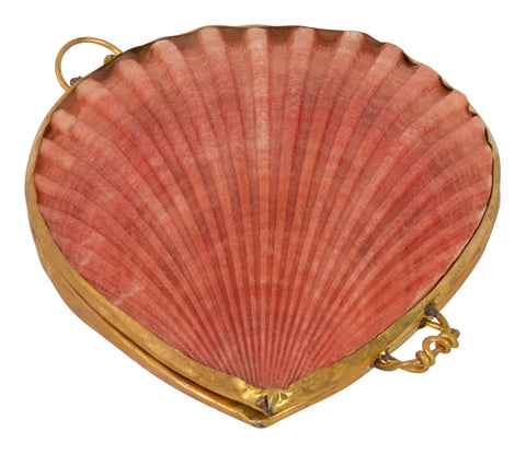 Pecten Shell Stash Box & Jayson Home