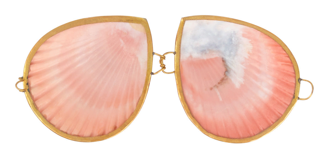 Pecten Shell Stash Box