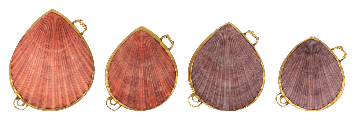 Pecten Shell Stash Box