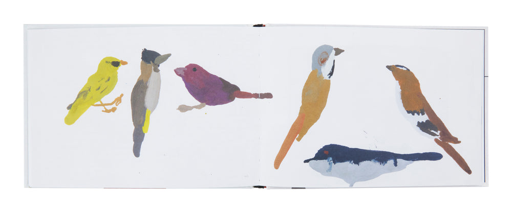 A  Book of Birds