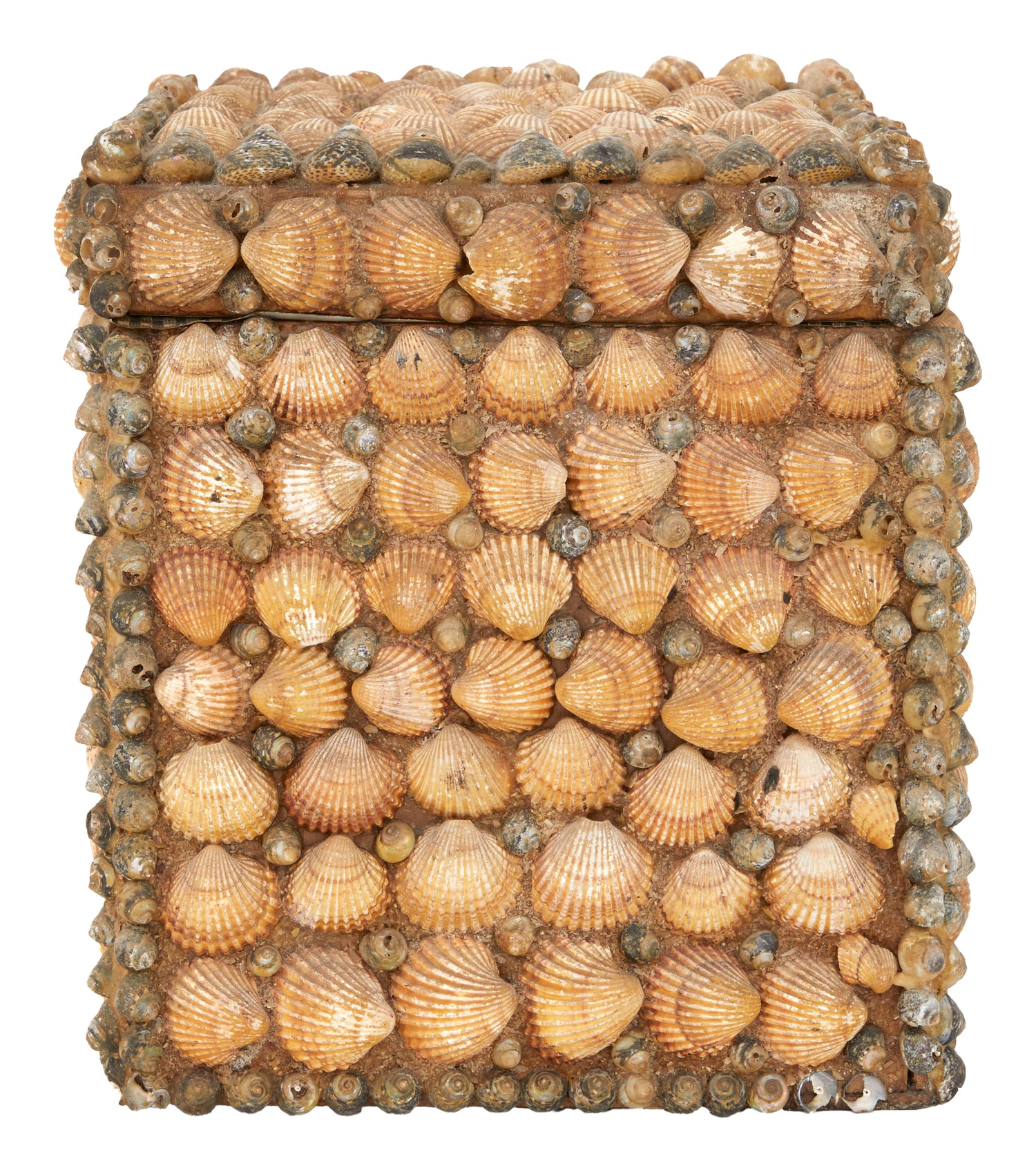 Antique Shell Box & Jayson Home