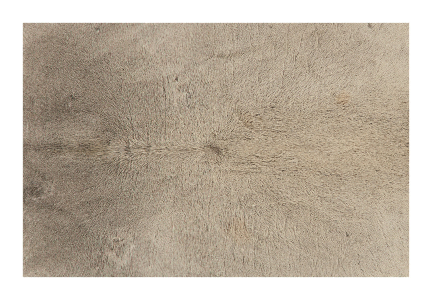 Cowhide Grey