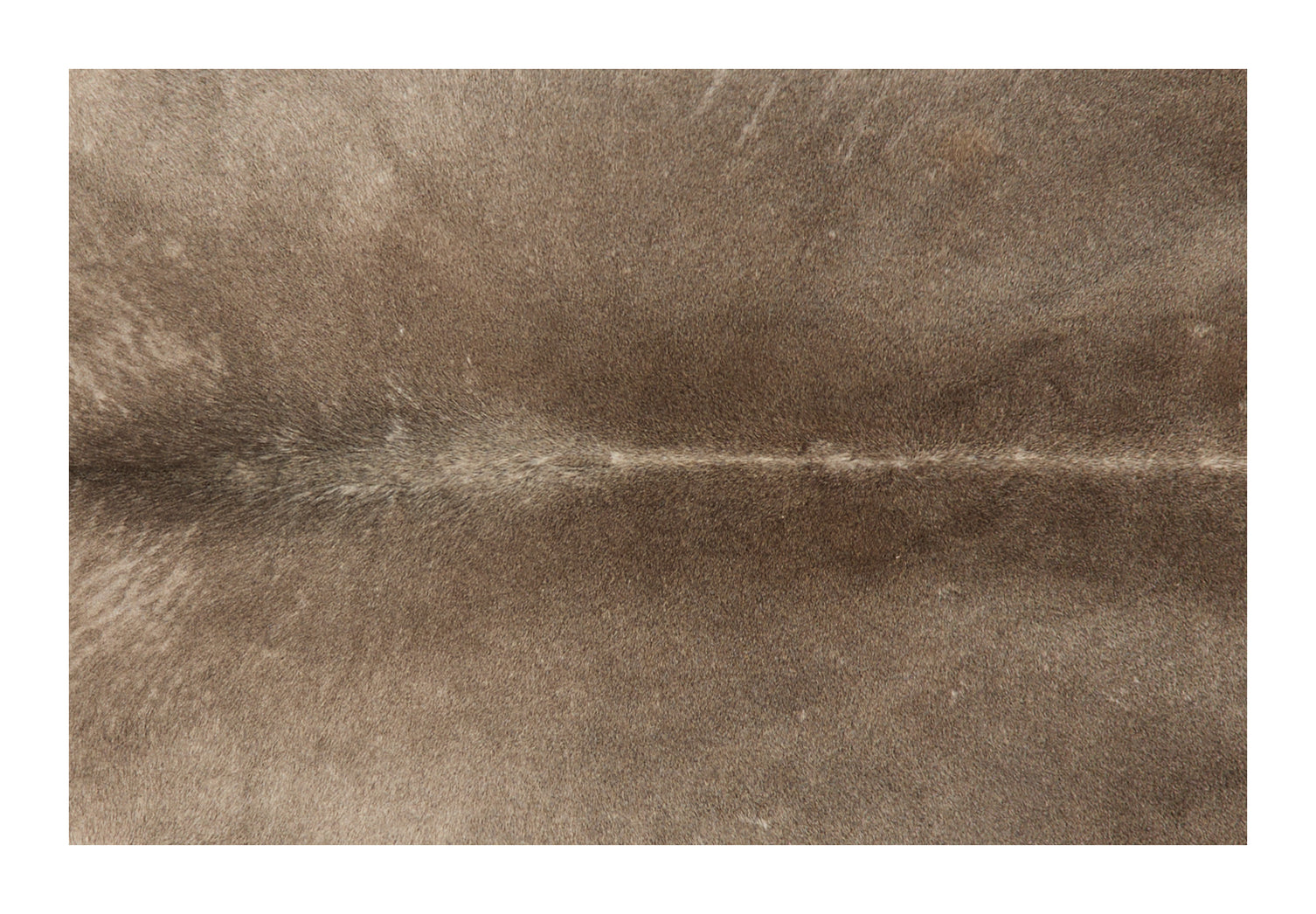 Cowhide Natural Grey