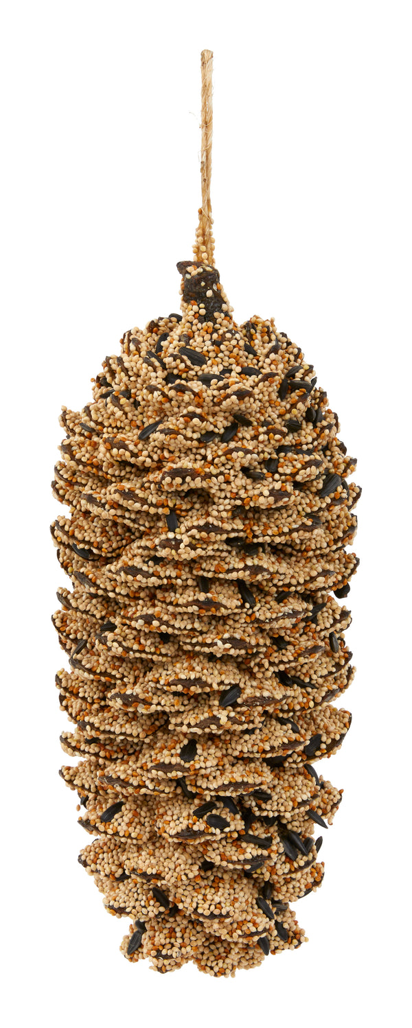 Giant Birdseed Pinecone