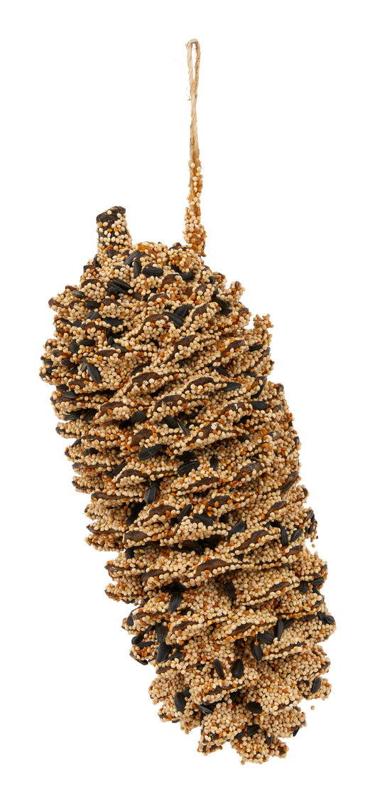Giant Birdseed Pinecone