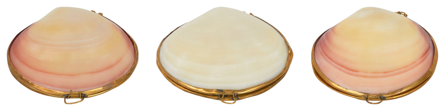 Tigrina Clam Stash Box