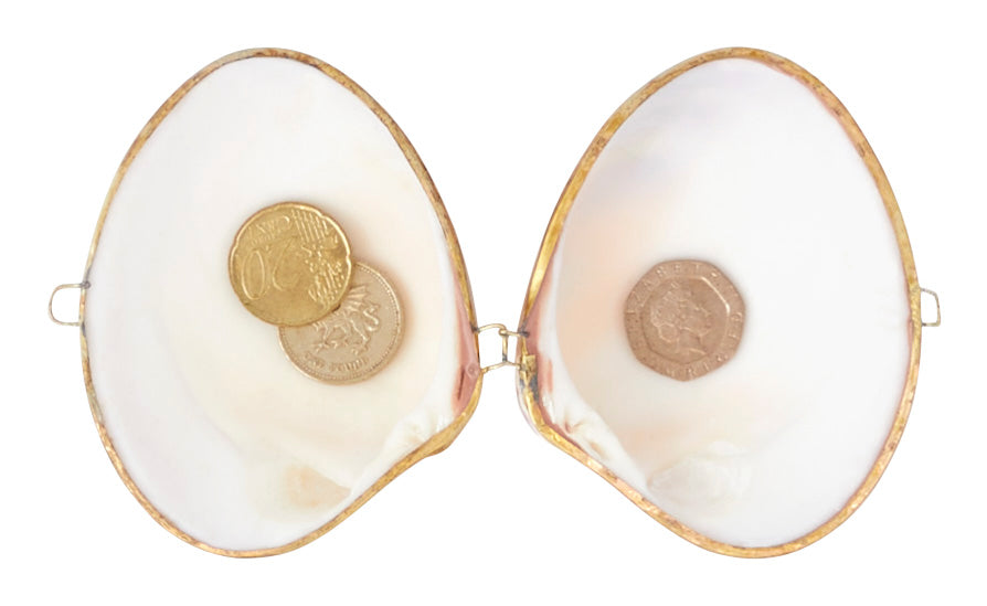 Tigrina Clam Stash Box