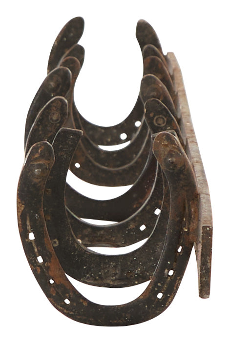 Vintage Horeshoe Hook Rail