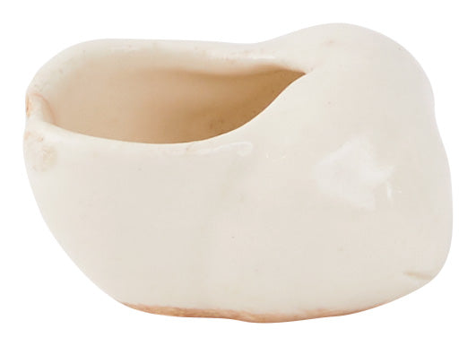 Vintage French Shell Escargot Pot