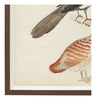 Closeup of a watercolor vintage painting of three birds on a cream canvas with a wood frame