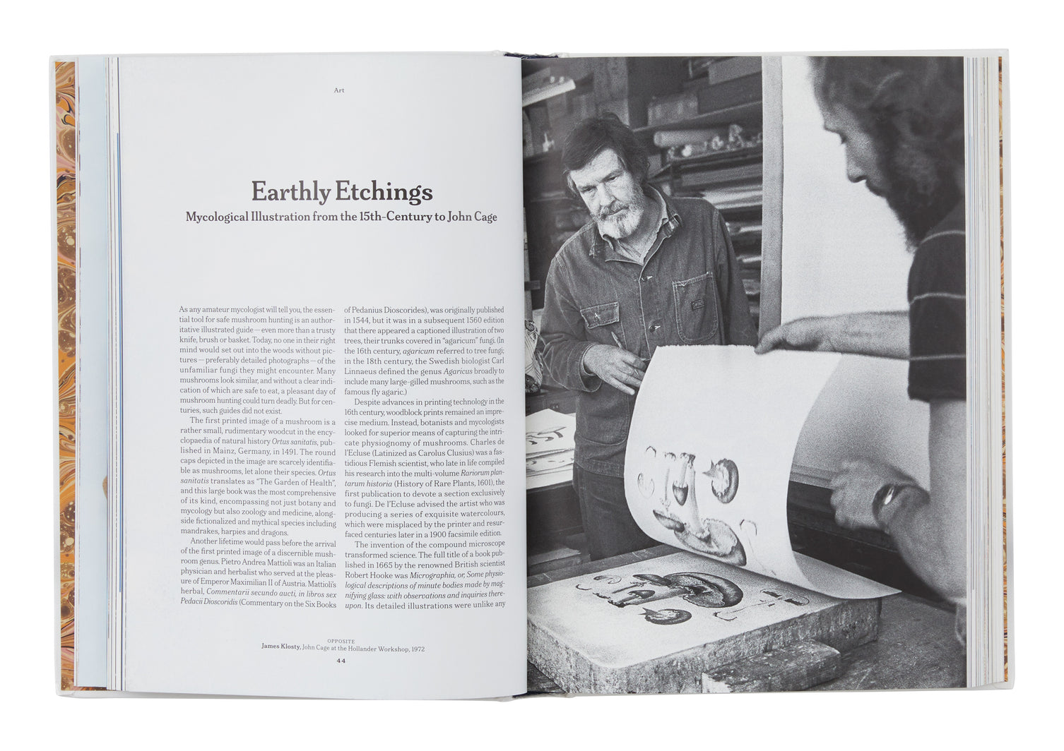 The Gourmand's Mushroom: A Collection of Stories and Recipes