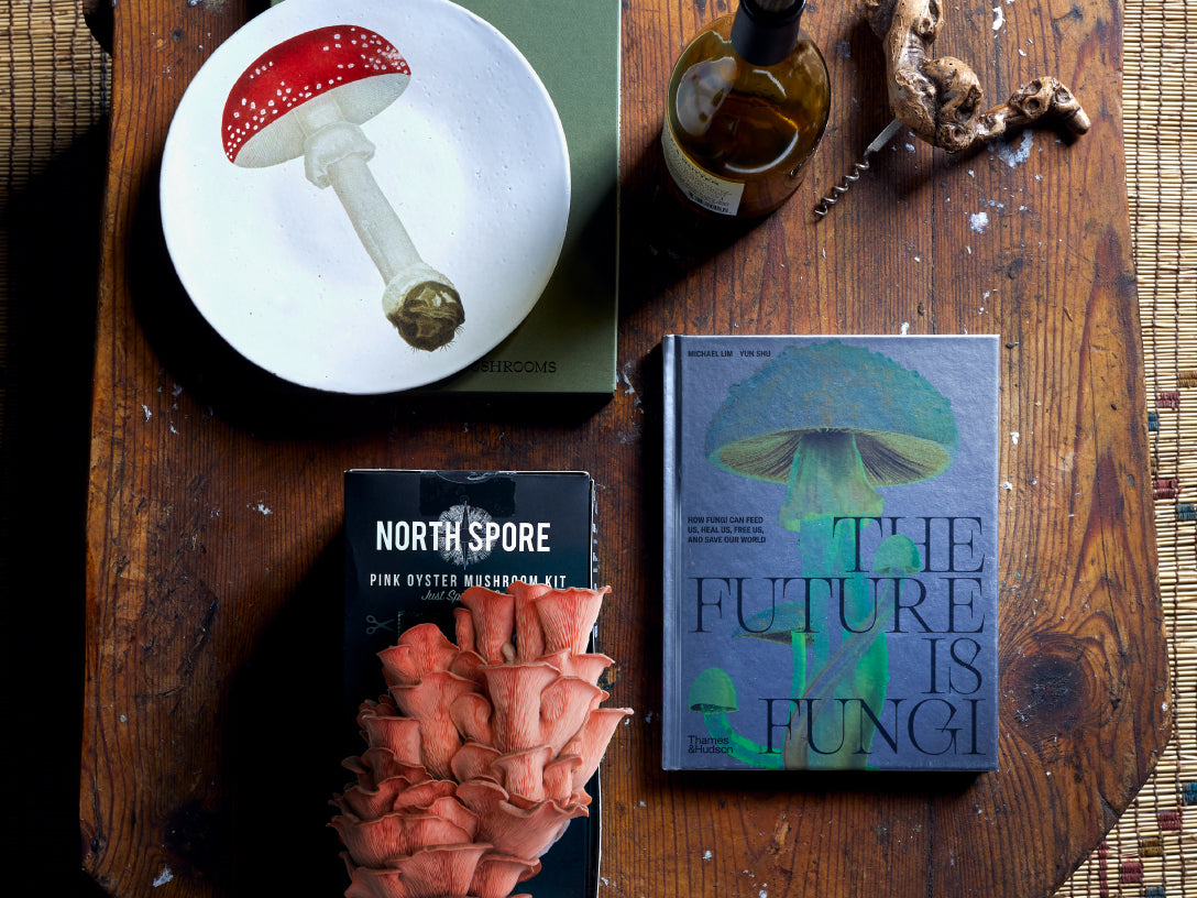mushroom books and plates next to pink oyster mushroom on wooden table