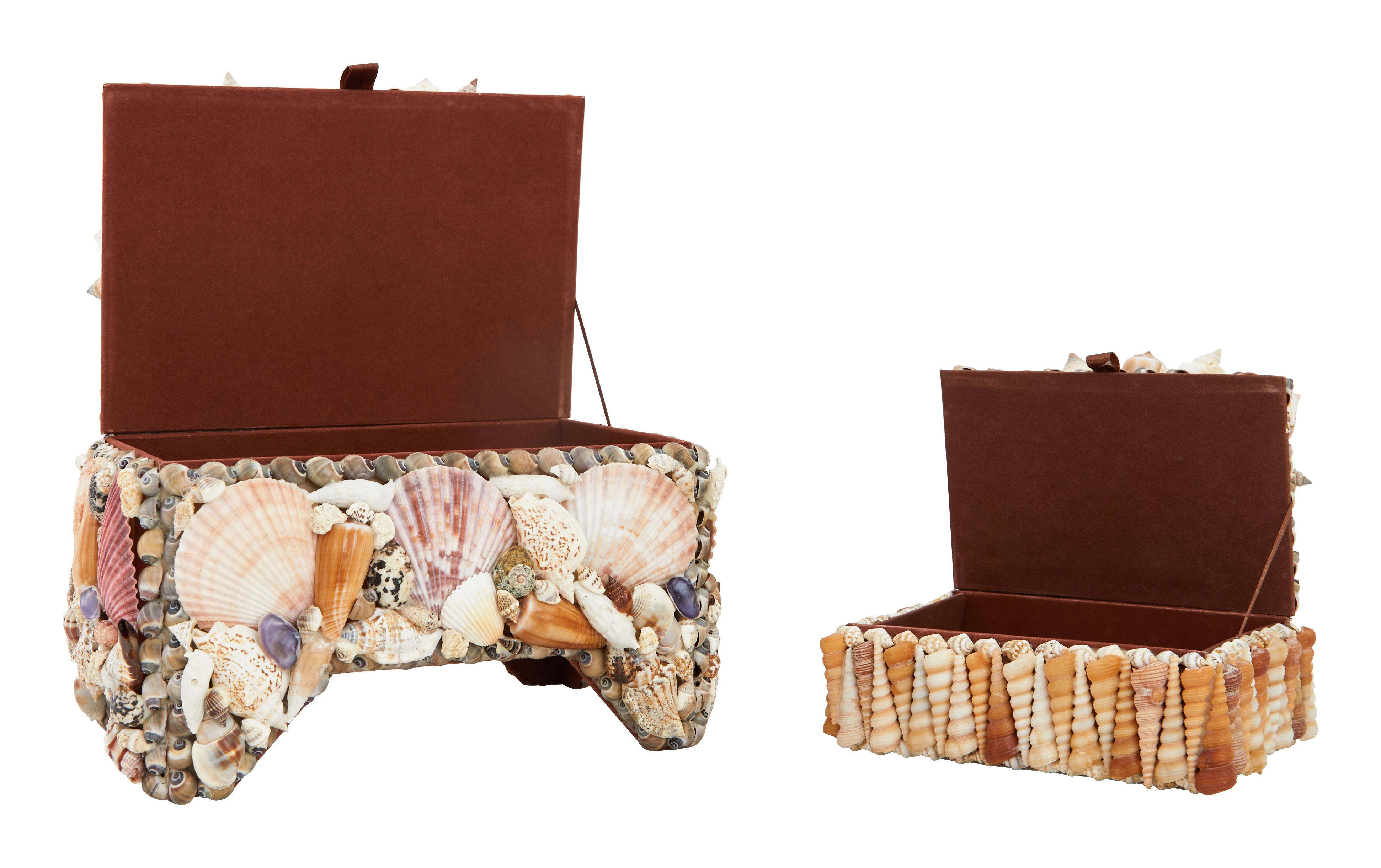 Large Shell Boxes & Jayson Home