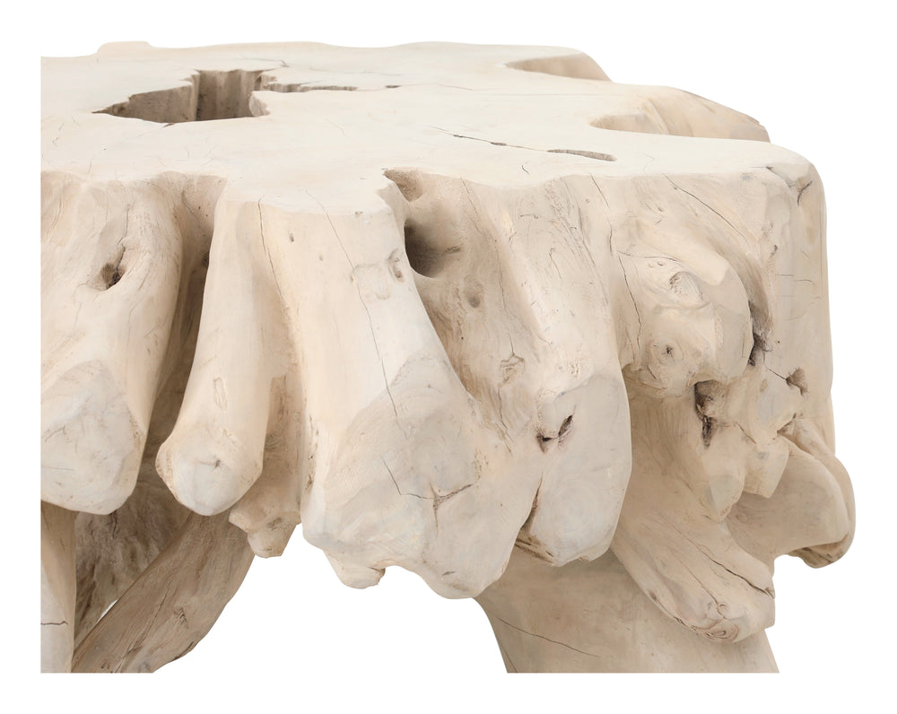 Small Bleached Teak Root Coffee Table