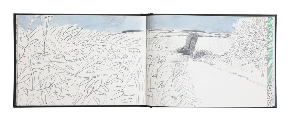 David Hockney: A Yorkshire Sketchbook
