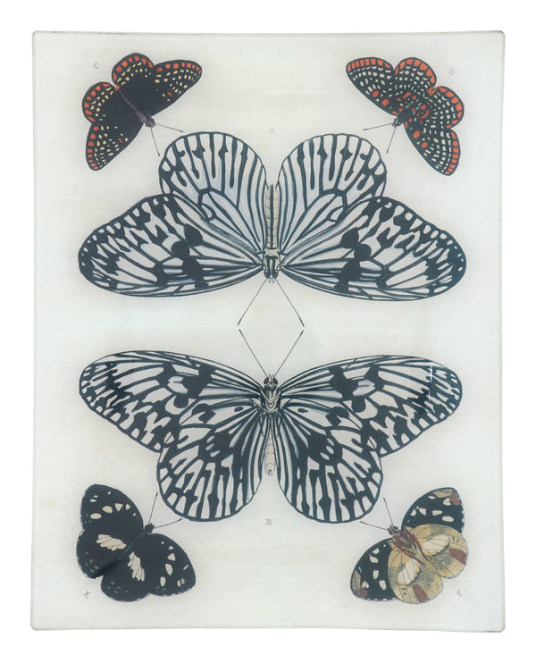 Mirrored Butterfly Tray
